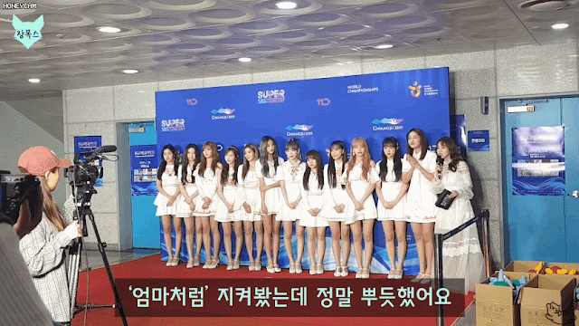 장폭스와 신입이 수망구