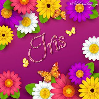 imagenes con nombre iris