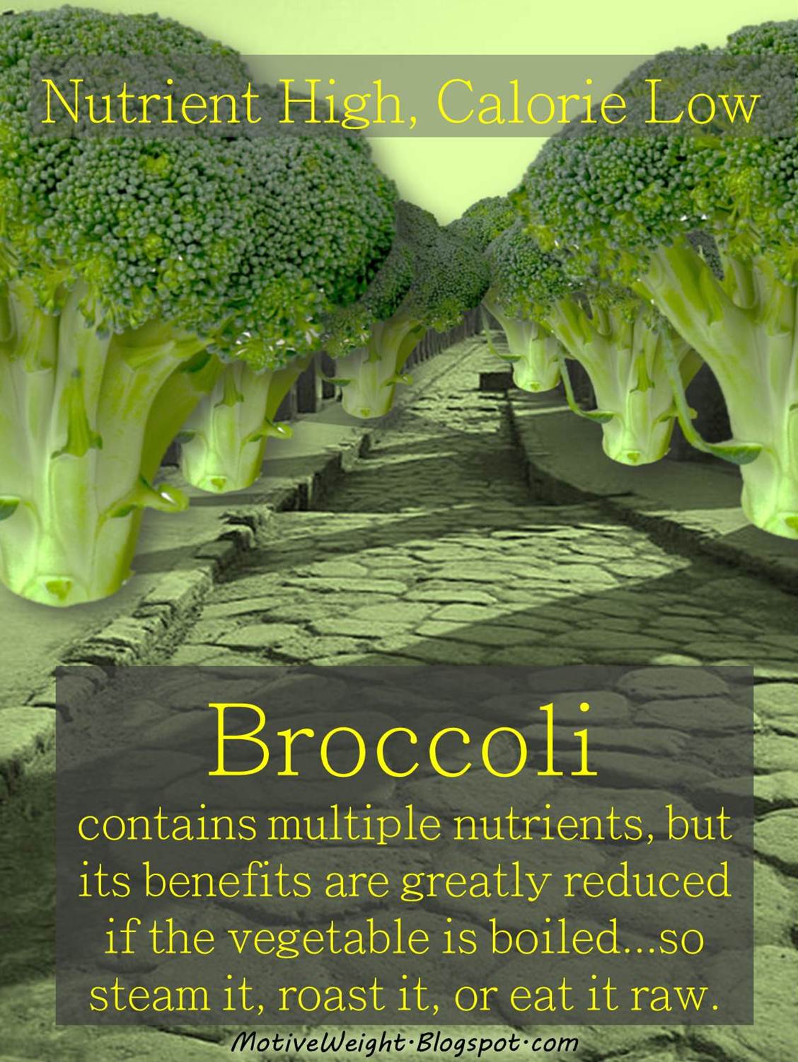MotiveWeight Broccoli Nutrient High, Calorie Low