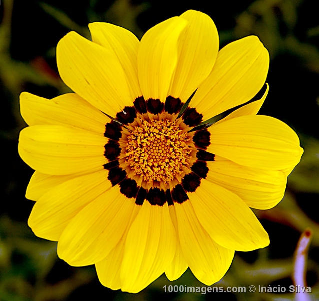 images gallery wallpapers