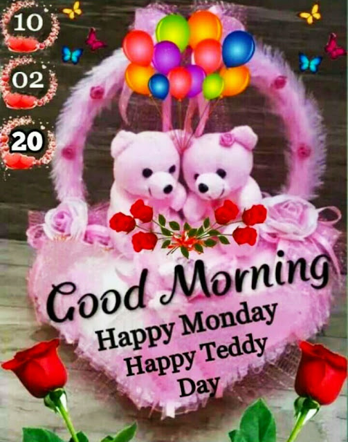 teddy day images for whatsapp