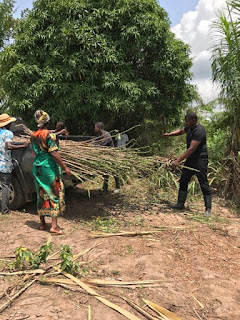 Ghanaian actor, John Dumelo turns temporary cassava farmer and Agriculture advocate ...