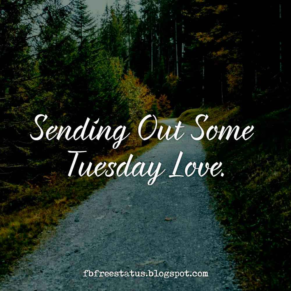 Wednesday hug. Sending out. Sending out. Wednesday love. Good morning sister.