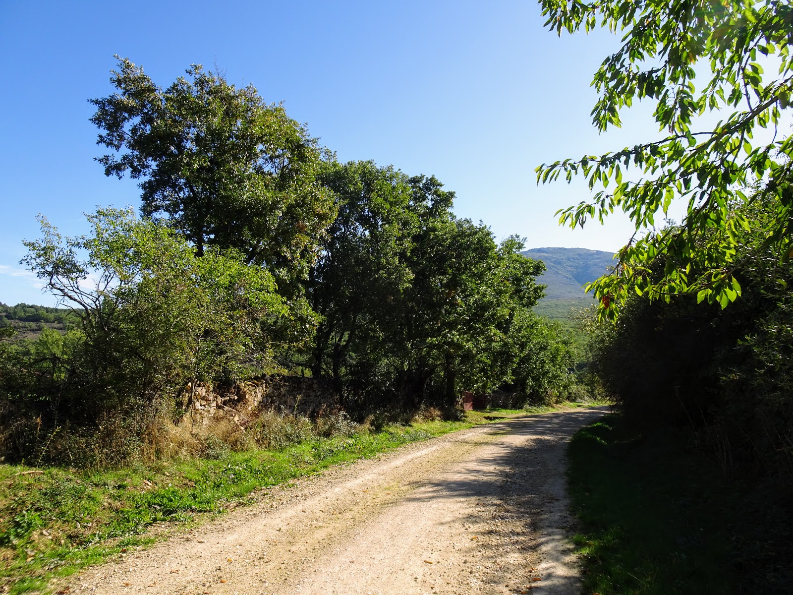 Wikiloc Ruta Riaza a Riofrío de Riaza subida a la Pradera del Collado