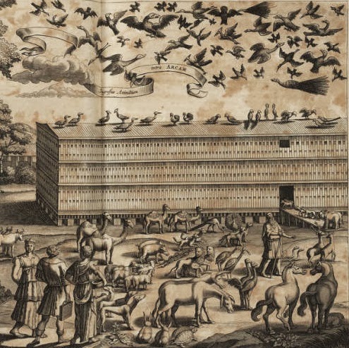 El Pacto de Dios con Noé (Génesis 6:9-22) - Mundo Bíblico: El Estudio