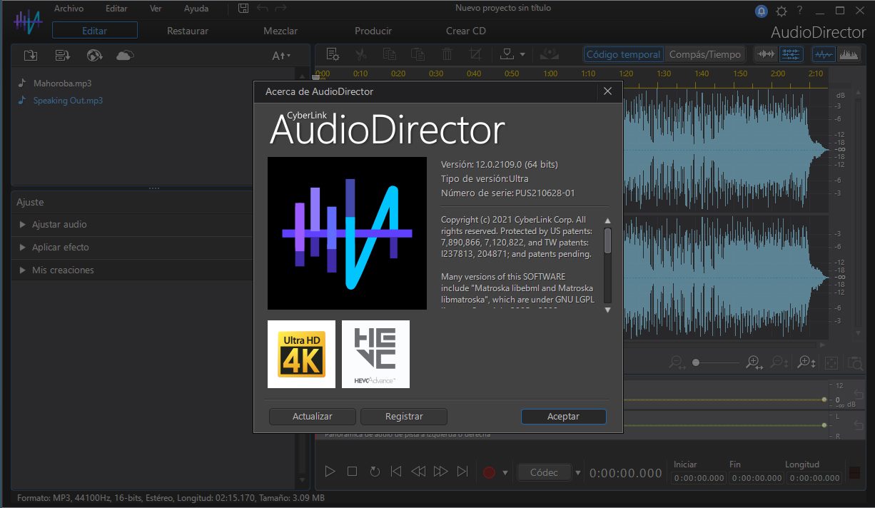 AudioDirector Full Español