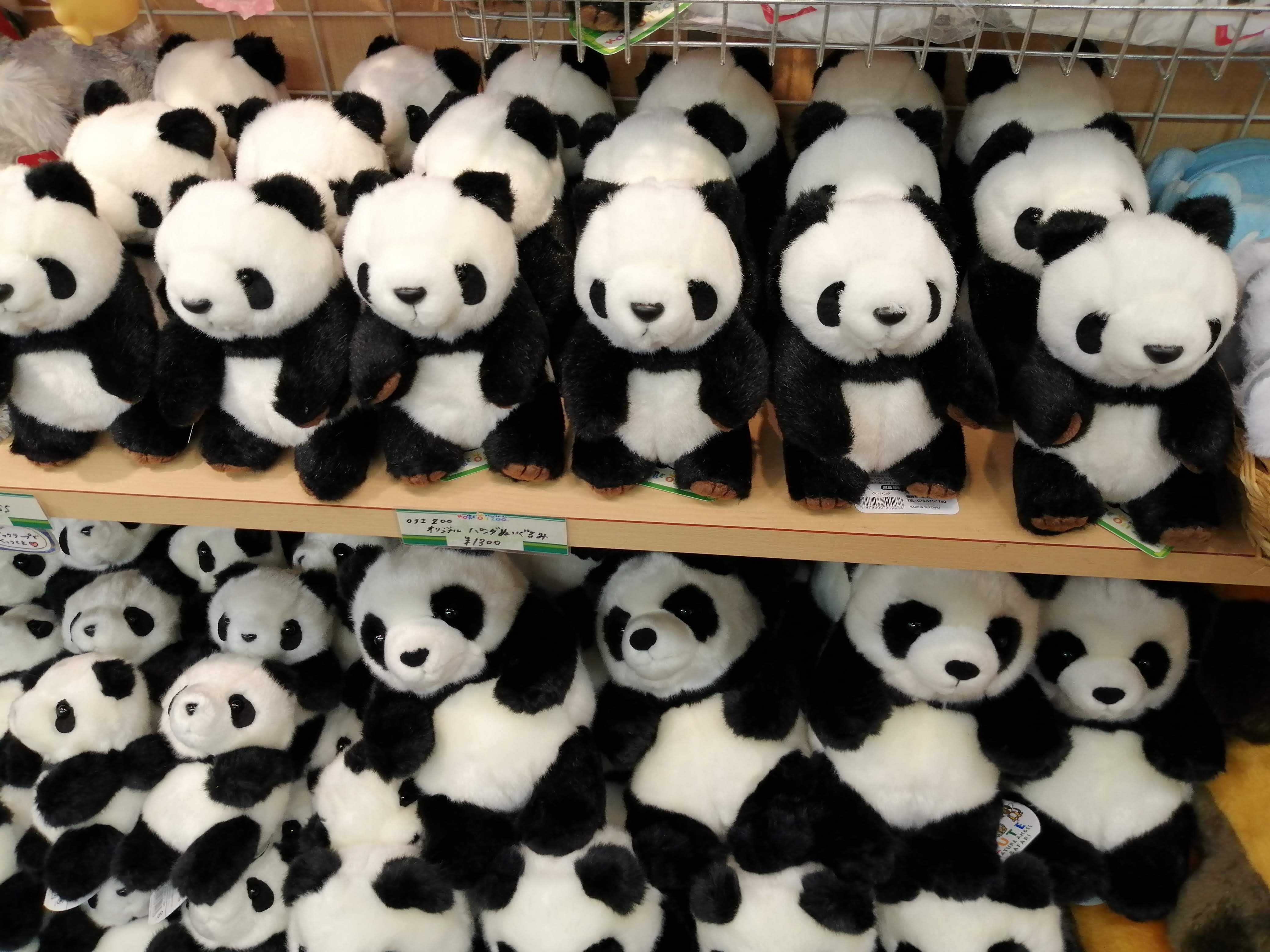 【レア】タンタン　王子動物園　5点セット　パンダ　グッズ　新品未開封含む美品 飼育員さんの愛から生まれた 神戸市立王子動物園のパンダ