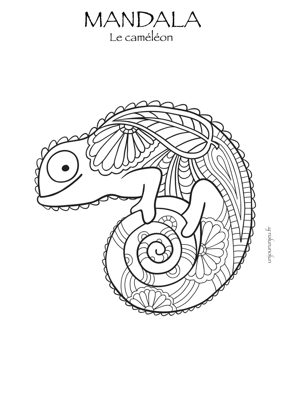 Mandalas animaux  quel est selon toi ton animal totem ?  le blog du
