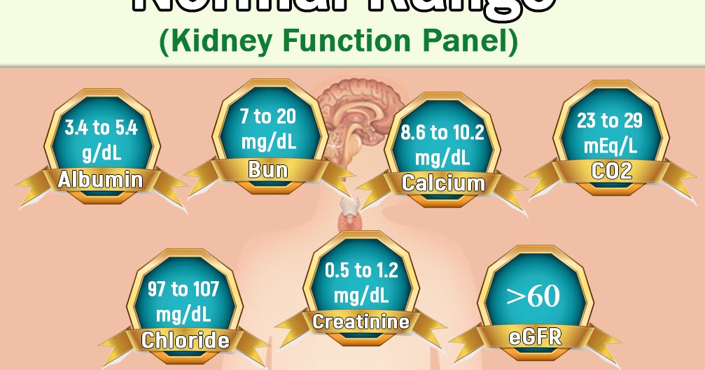 Is it really possible to get off kidney dialysis? Kidney Disease Lab