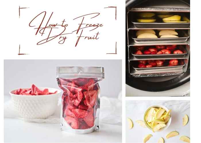 How to Make Freeze Dried Fruit at Home Homesteading in Ohio