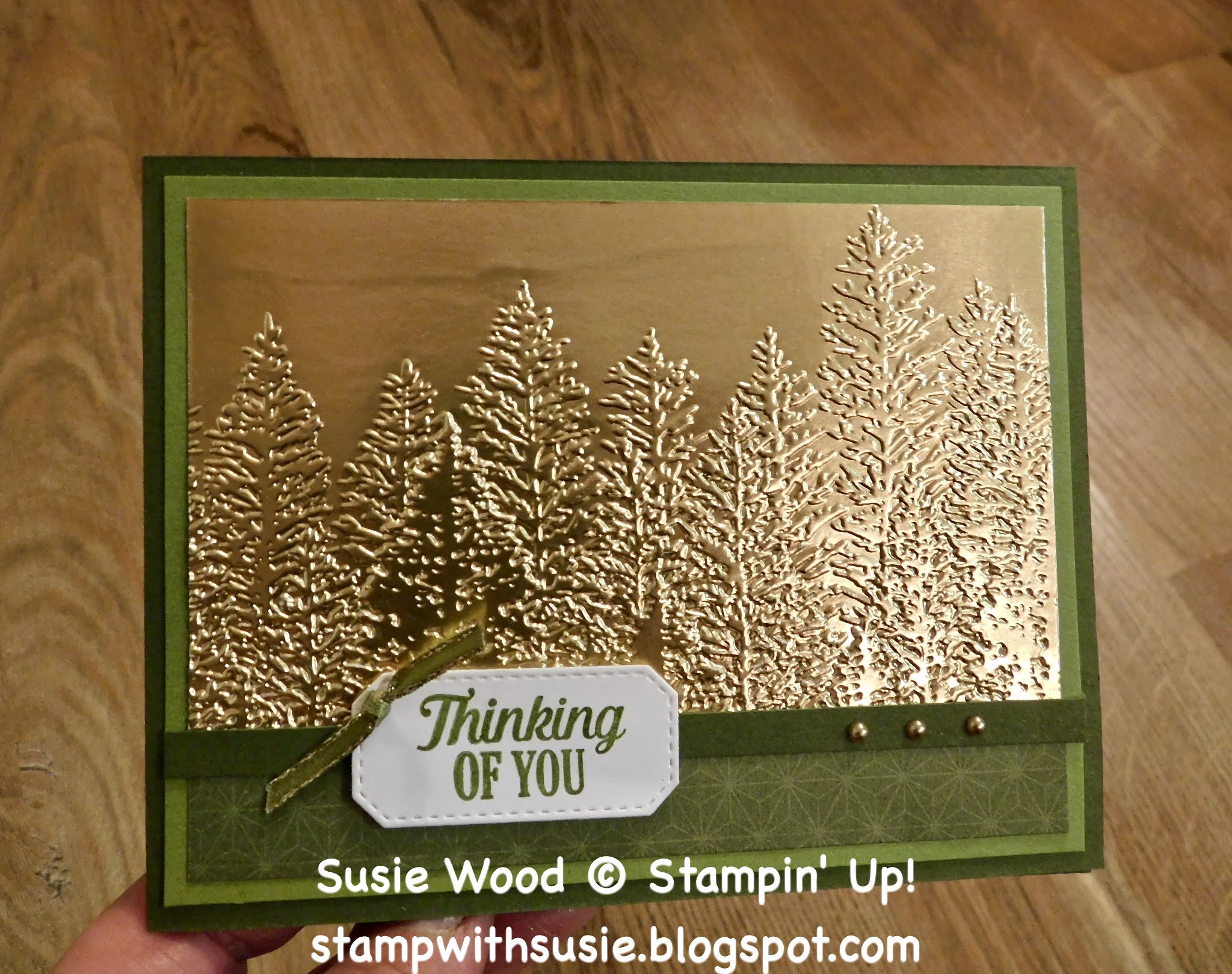 Stamp with Susie Stampin' Up! Evergreen Forest 3D Embossing Folder