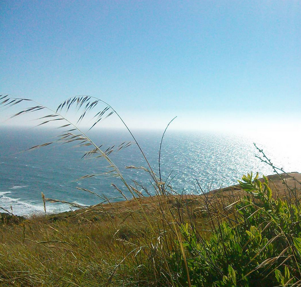 Links_da_semana