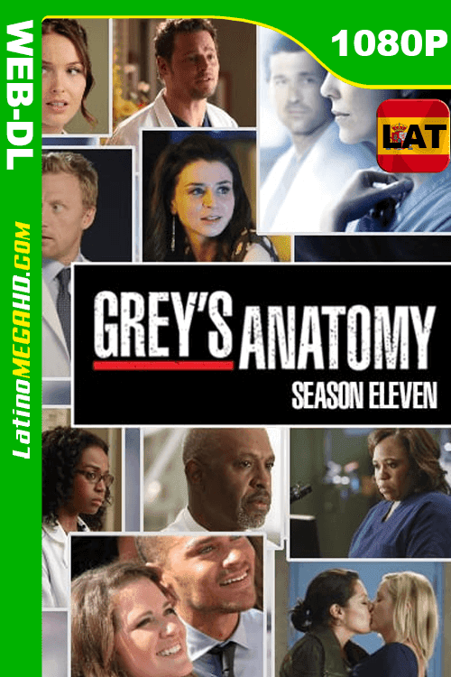 Anatomía según Grey (2013) Temporada 11 Latino HD WEB-DL 1080P (2005)