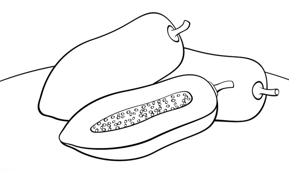 √ 10+ Sketsa Gambar Buah Pepaya » Server Gambar