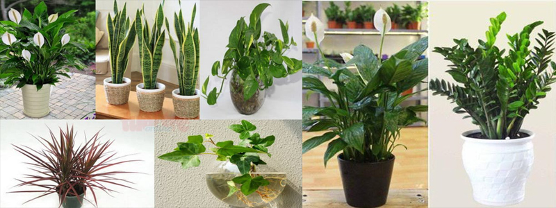 Shop Muốn Là Có ( Kinh Doanh Đa Dạng Mặt Hàng )