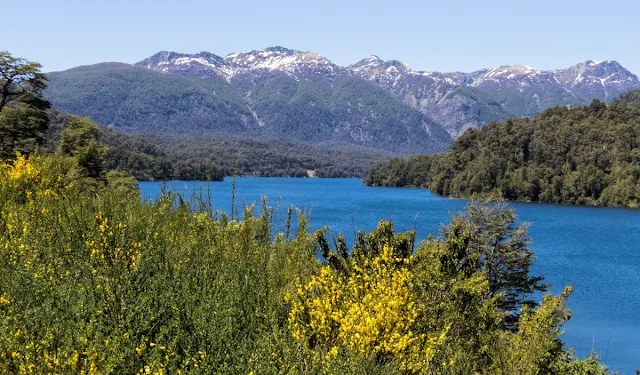 Where to go birding in Patagonia: Blue lake and mountains near Bariloche Argentina on Ruta de Siete Lagos