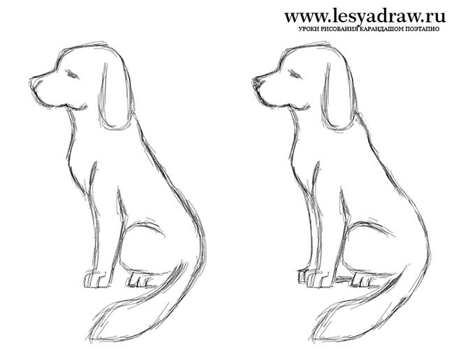 Cách Vẽ Chú Chó Ngồi Đơn Giản | Vẽ Từng Nét Nhỏ