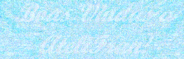 capa%2Bnova.gif