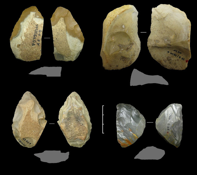 Various Keilmesser and a simple backed knife (top right) from the Neanderthal period 60,000 to 44,000 years ago, from the Sesselfelsgrotte cave near Kelheim (G-complex, excavations by Prof. Freund, FAU [Credit: D. Delpiano, UNIFE]