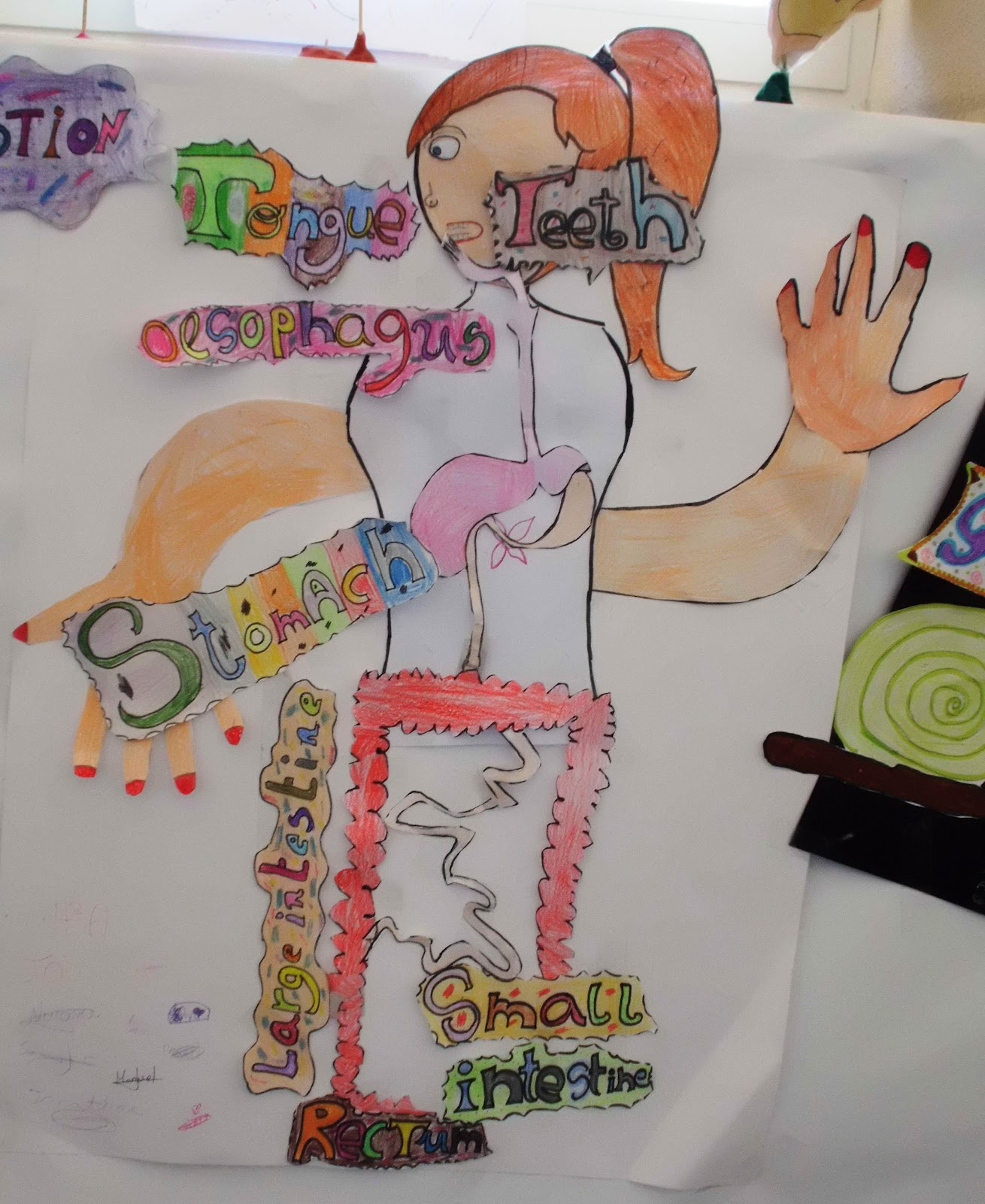 SCIENCE IN THE SCHOOL: SOME SCIENCE PROJECTS