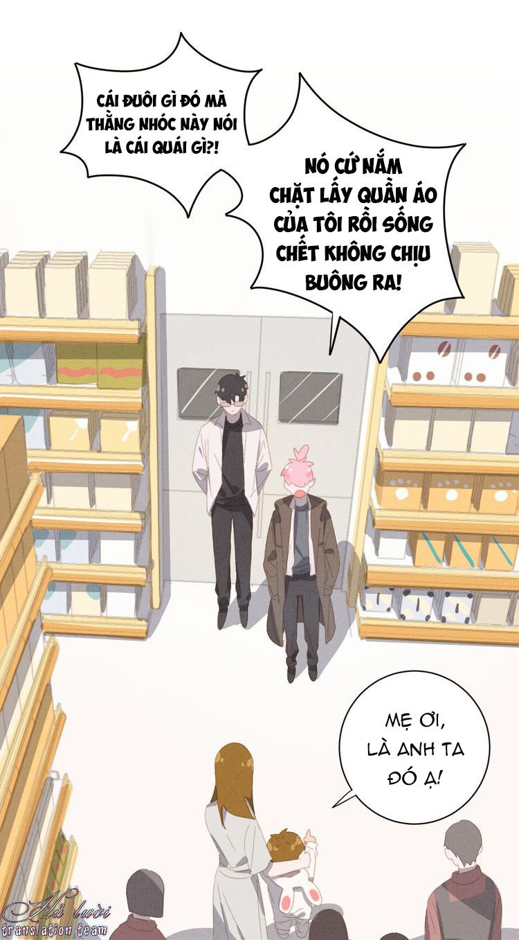 Đọc truyện Thế giới của một chú mèo - Chapter 20