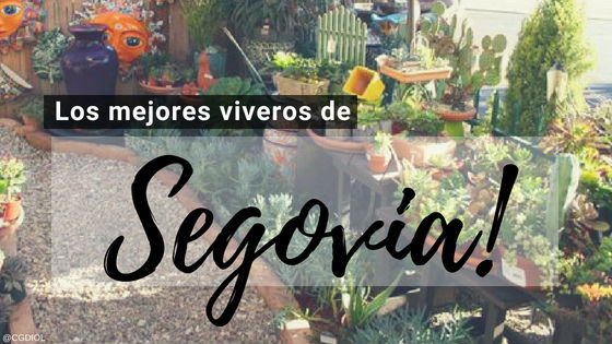 Comprar plantas online en Segovia, España