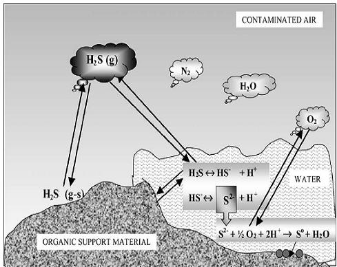 Biogas digester thesis 08 picture