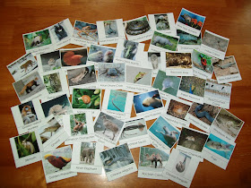 Free Animals of Asia Cards