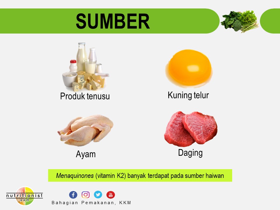 National Cancer Society of Malaysia, Penang Branch Vitamin K Fungsi