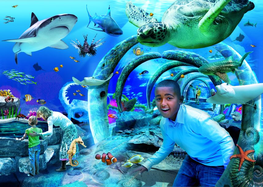 London Aquarium Dreams Destinations