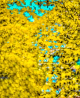 Top Cb athrav Raut background download By yogesh editography