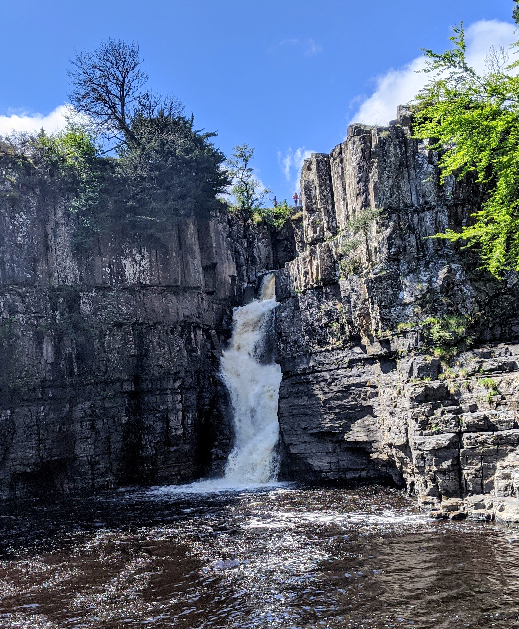 Dog Walk Idea High Force Waterfall