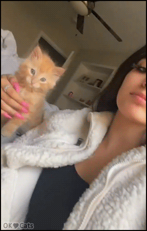 Funny Kitten GIF • Kitty does not want her mom kiss him. Haha, best reaction ever! [cat-gifs.com]