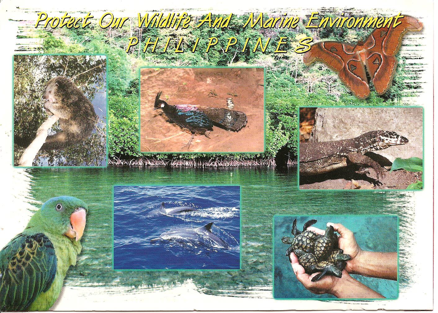MY POSTCARD-PAGE: PHILIPPINES ~Protect our Wildlife and Marine