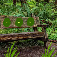 wooden-bench-forest-escape.jpg