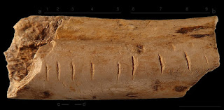 As marcações feitas em um osso de hiena por um Neandertal podem ter registrado informações numéricas.