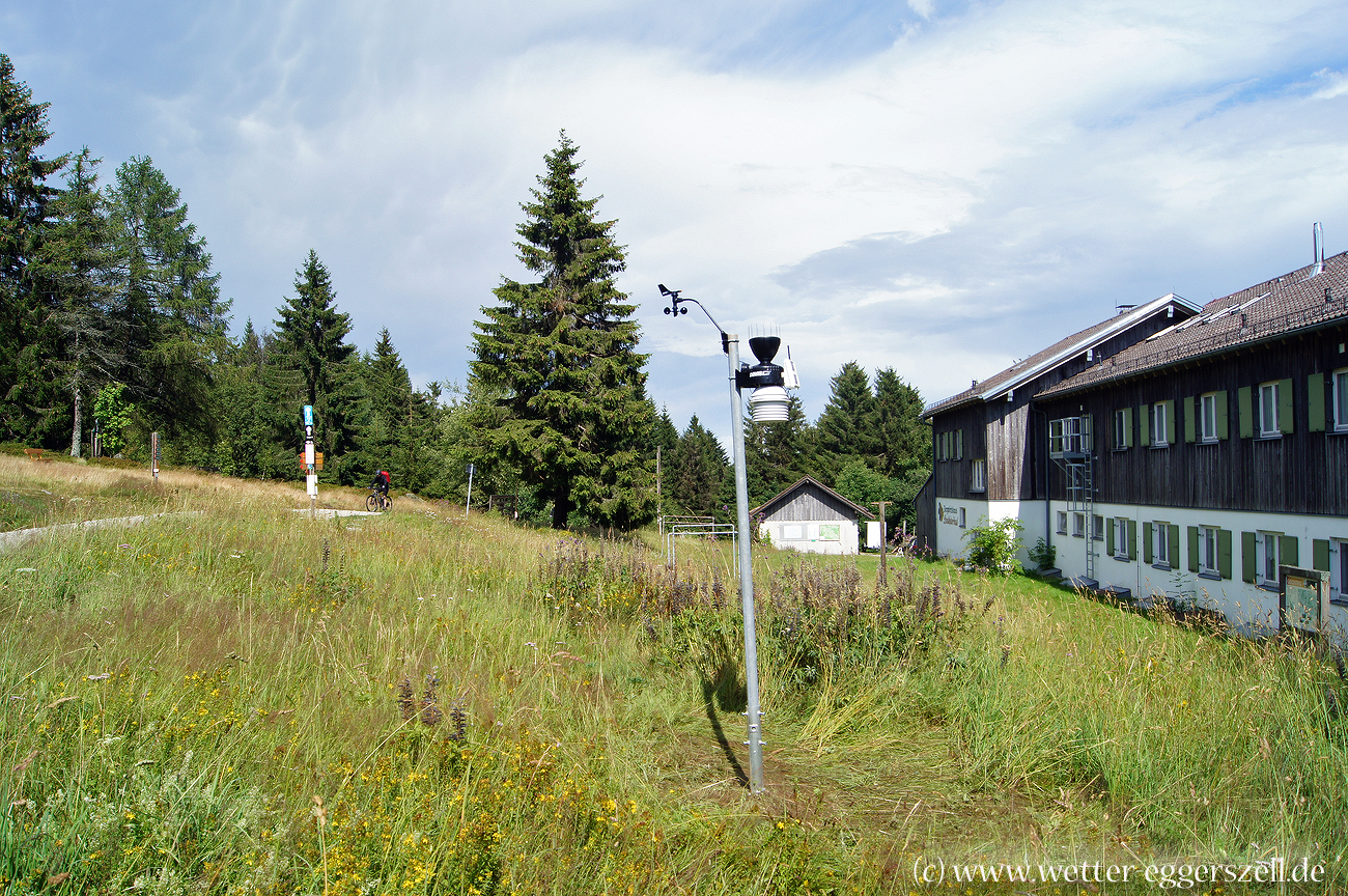 Unberuhrte Natur Einer Strasse Opfern Westtangente Landshut