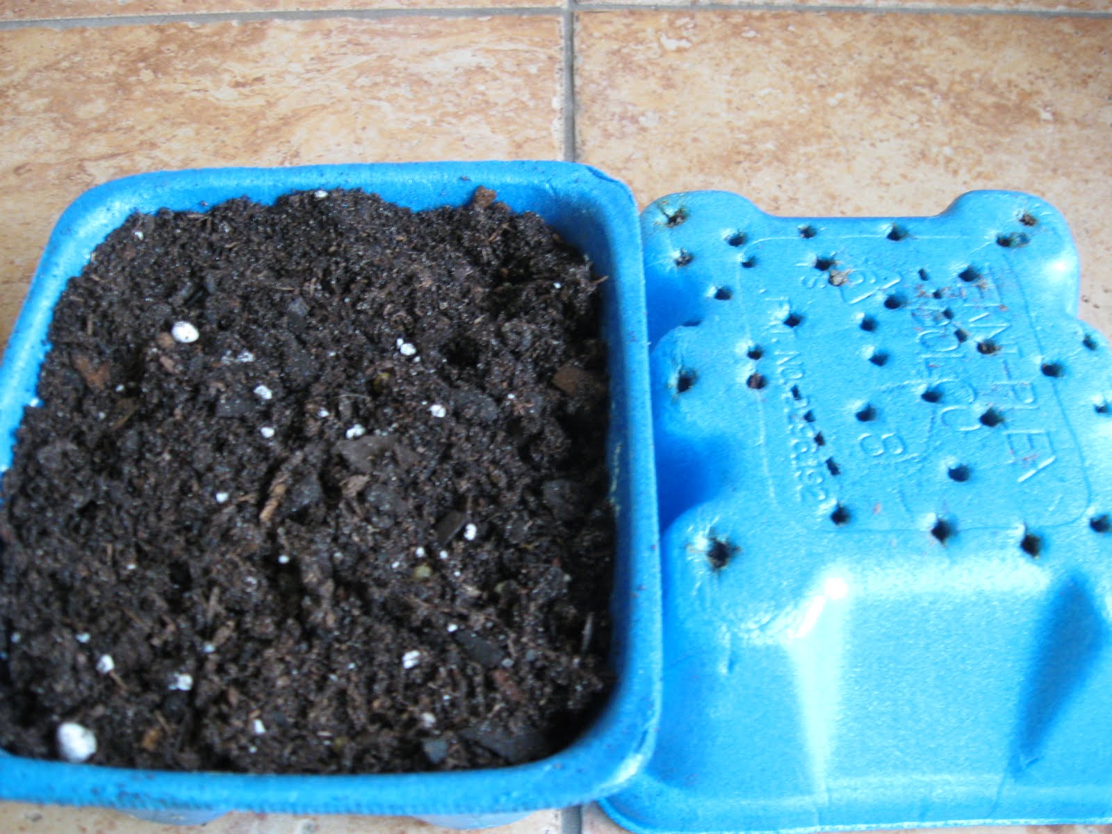 Growing Food in Florida What can we plant in July in Florida?