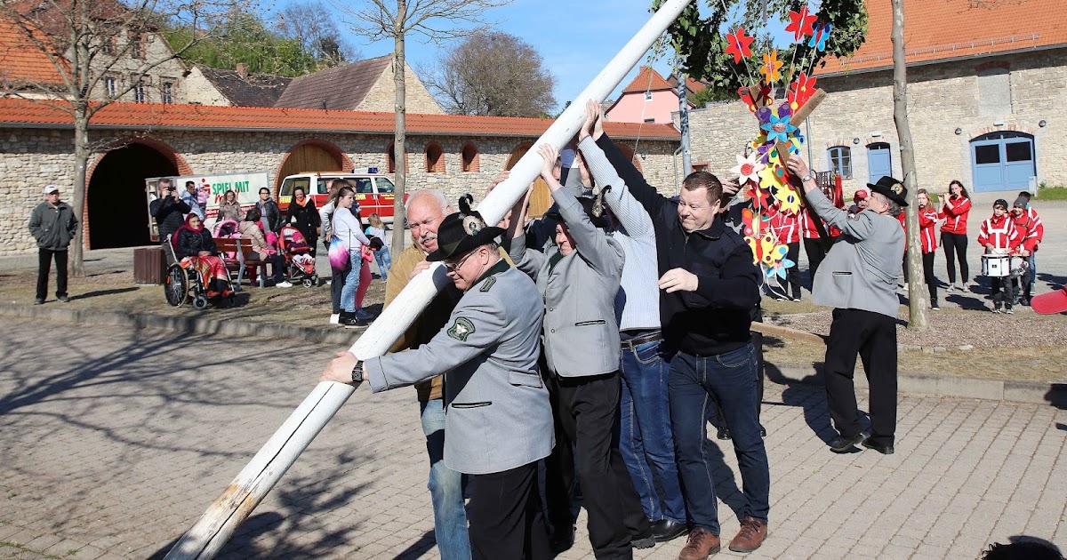 Harz Mit Der Schmalspurbahn Von Wernigerode Auf Den Brocken