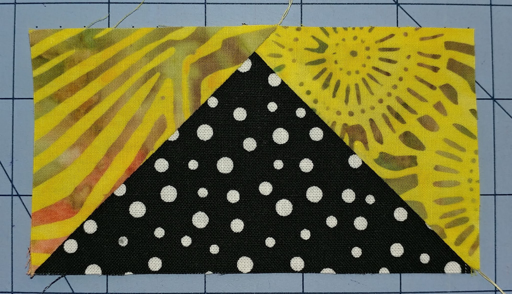 QuiltNotes Learning Center Beginner's Guide to Quiltmaking Stitch