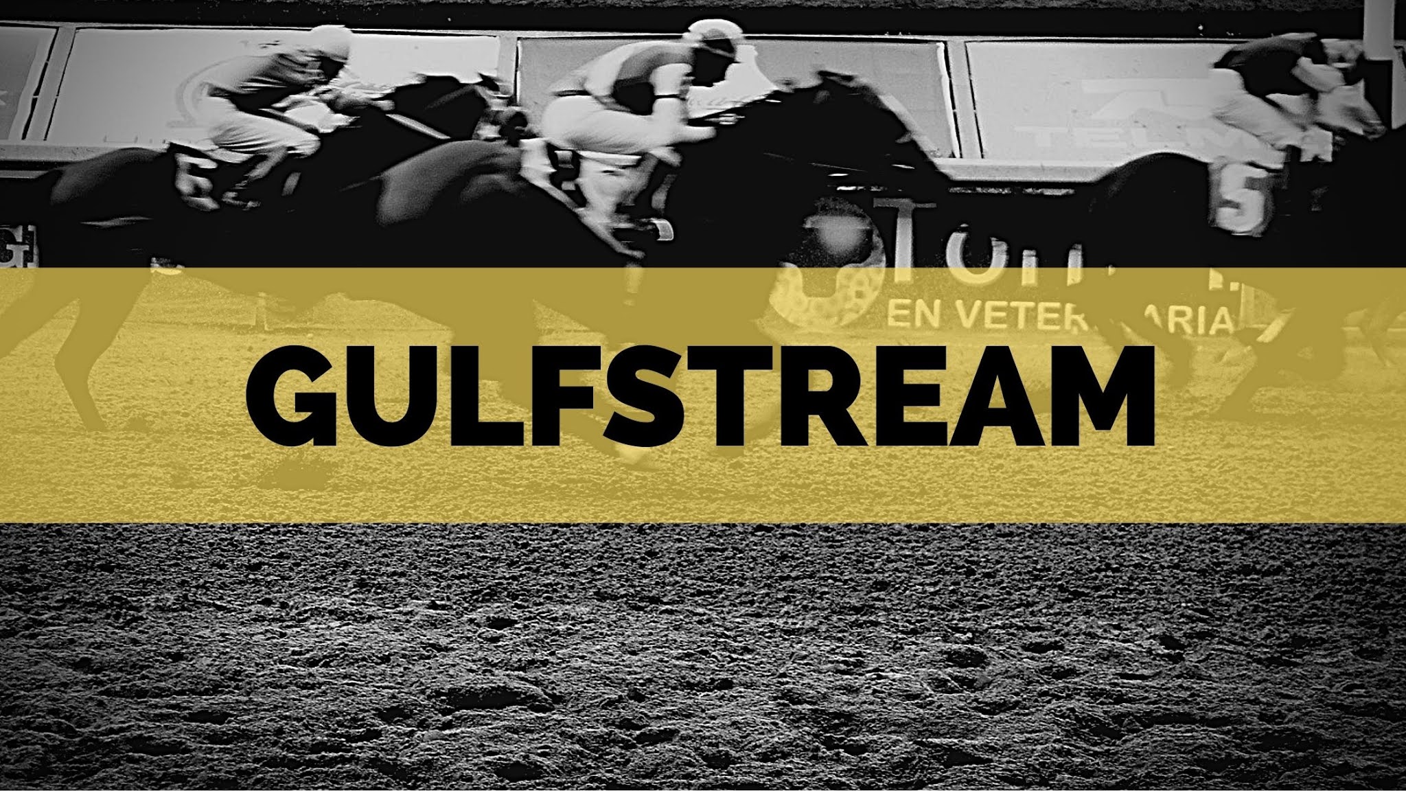 Free Gulfstream Park Horse Racing Picks For Wednesday January 13 2021