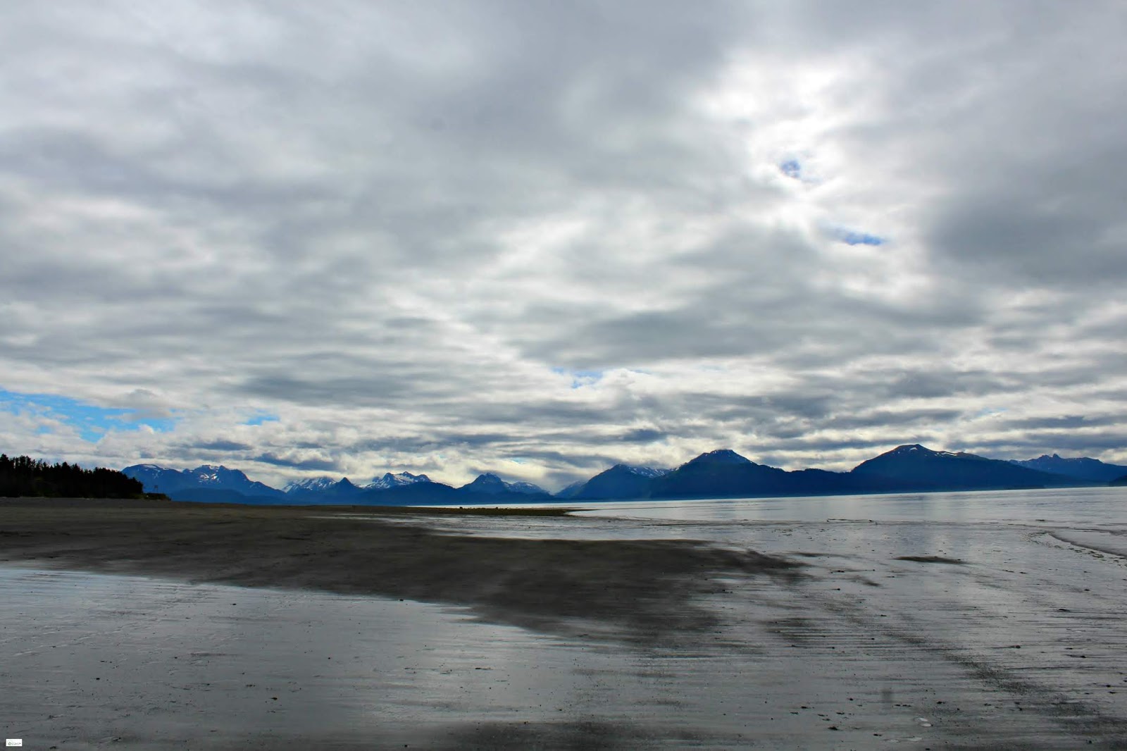 Beach // Homer, Alaska Caravan
