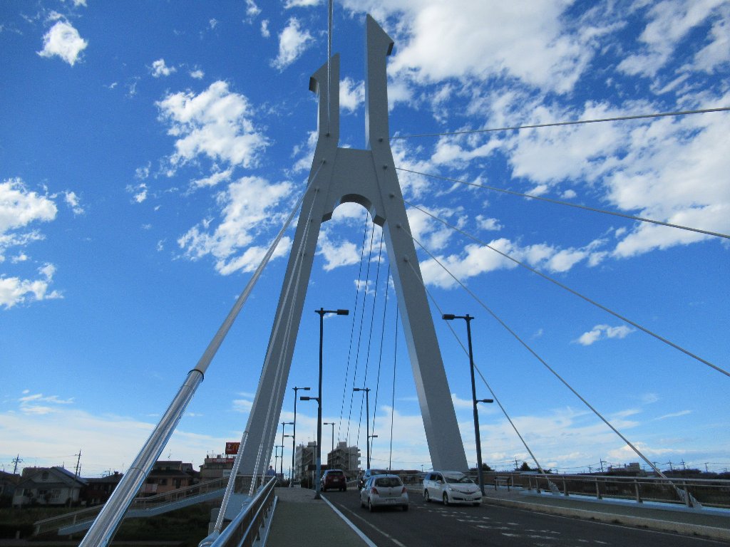 せんげん台発 自転車散歩日記 葛西用水左岸の花菖蒲と右岸の紫陽花