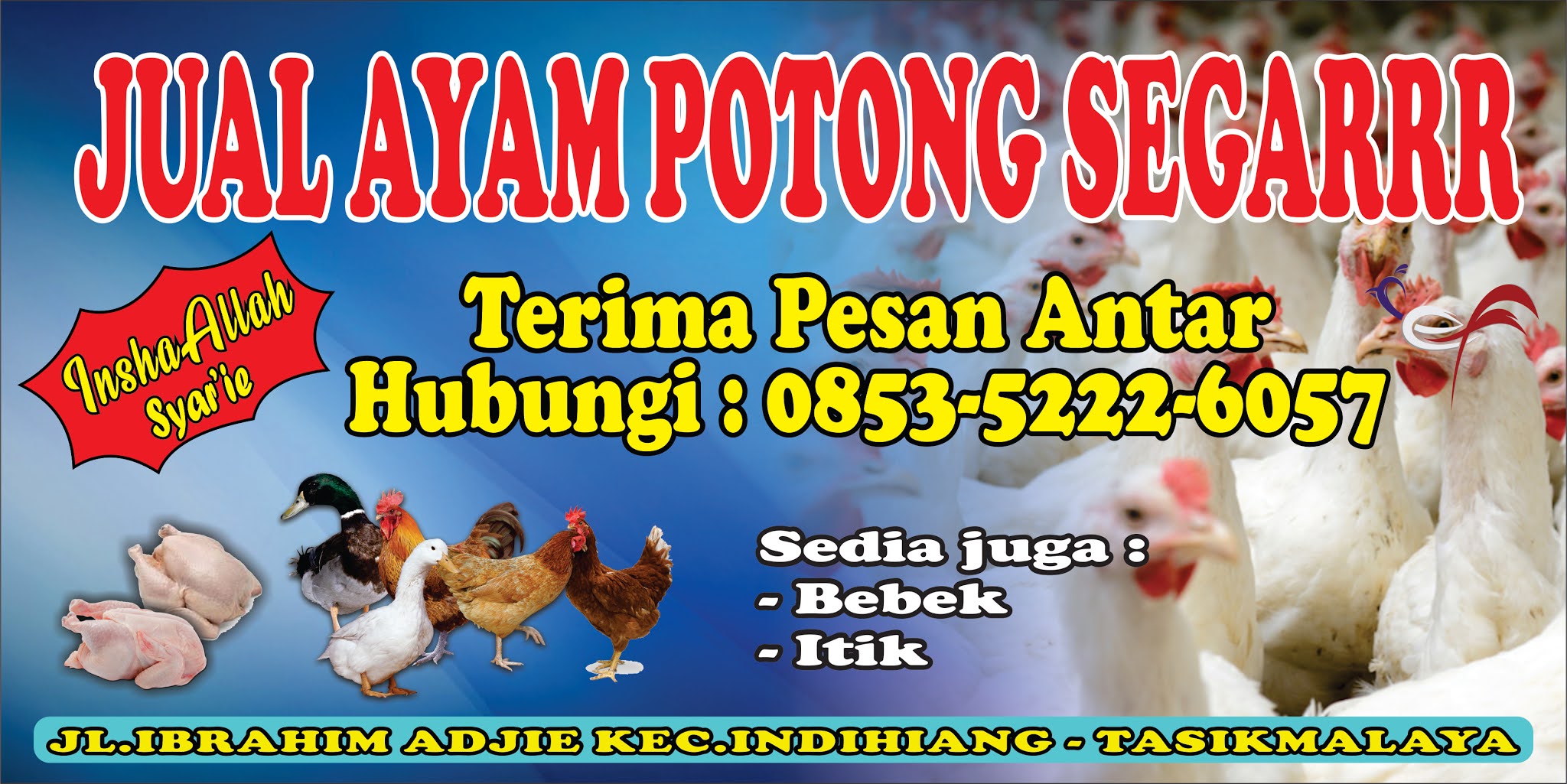 Download Gratis Contoh desain banner Spanduk jual daging ayam, Itik dan
