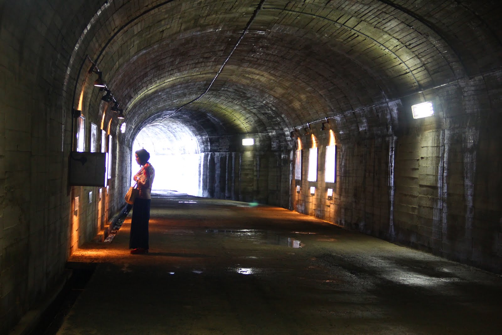 Little Green Bug Creepy Tunnels