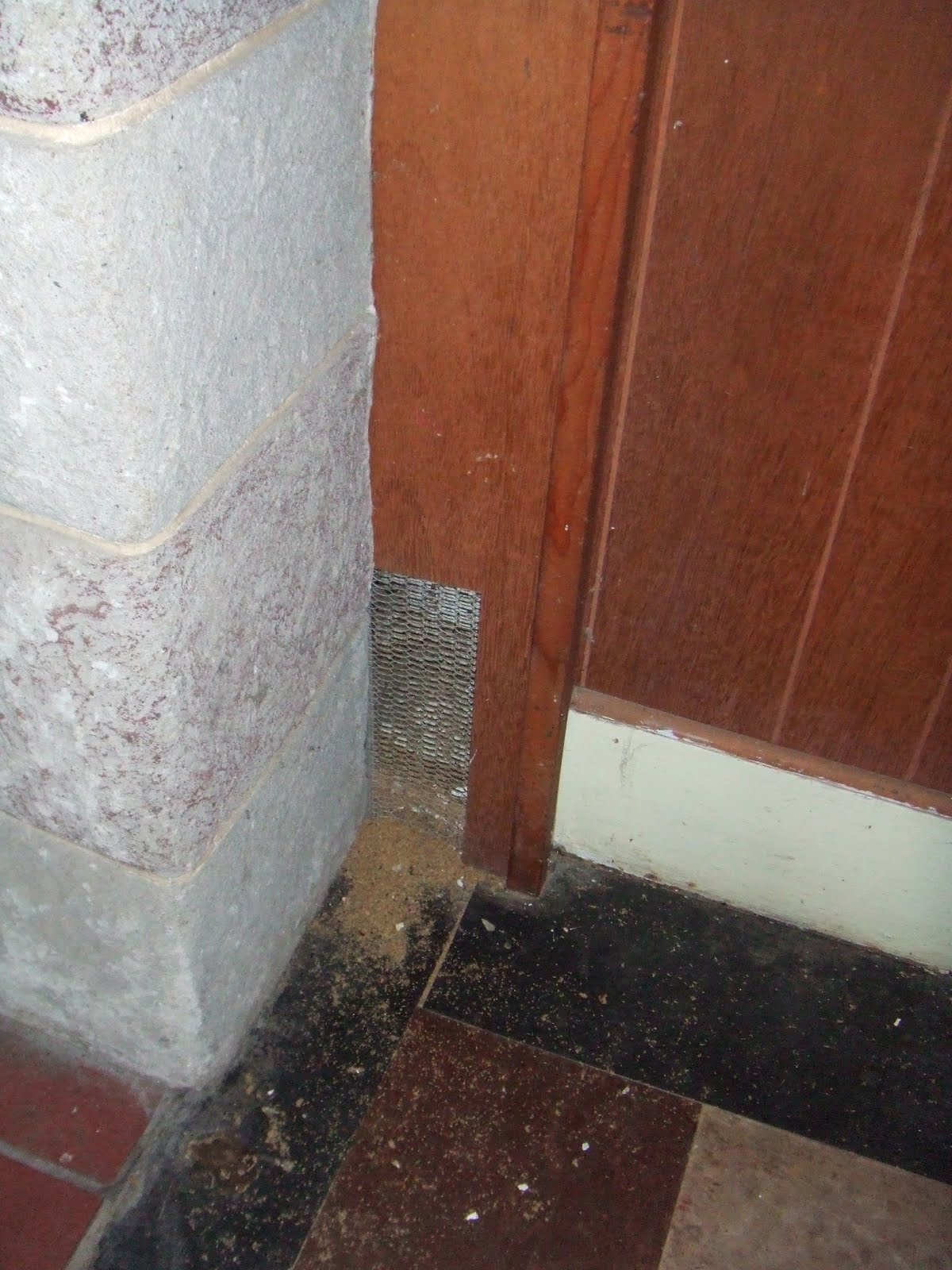 Termite Bites Termite Evidence Sawdust