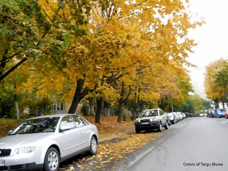 Cartierul Dambu Pietros-Targu Mures