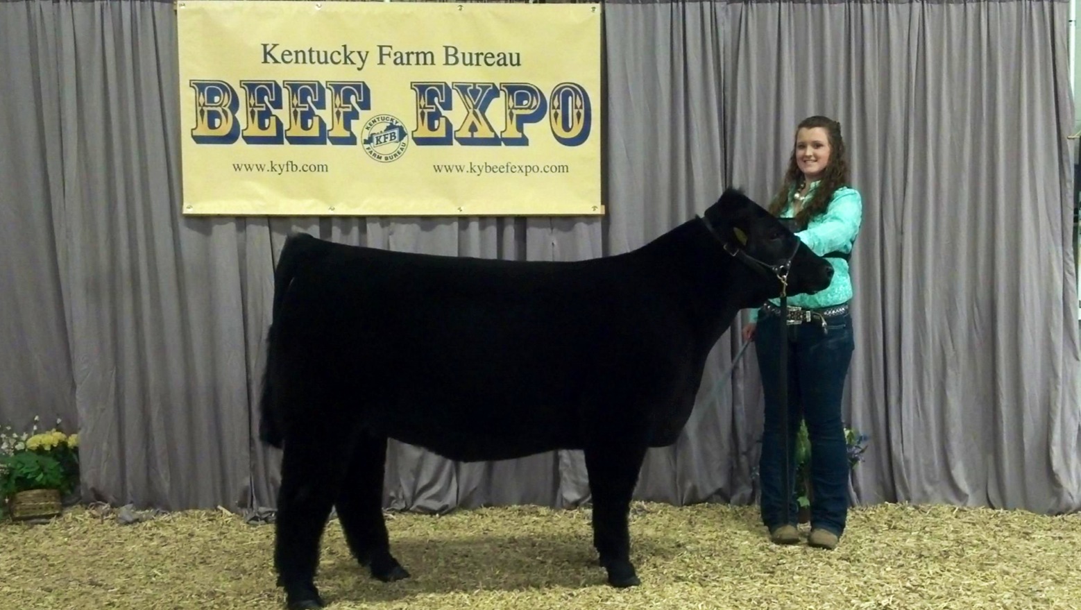 DIAMOND G CATTLE CO. From Taylor Burgess Virginia