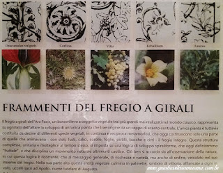 Ara Pacis em 3D ara pacis identificacao flores frutos guia brasileira  - Ara Pacis em 3D