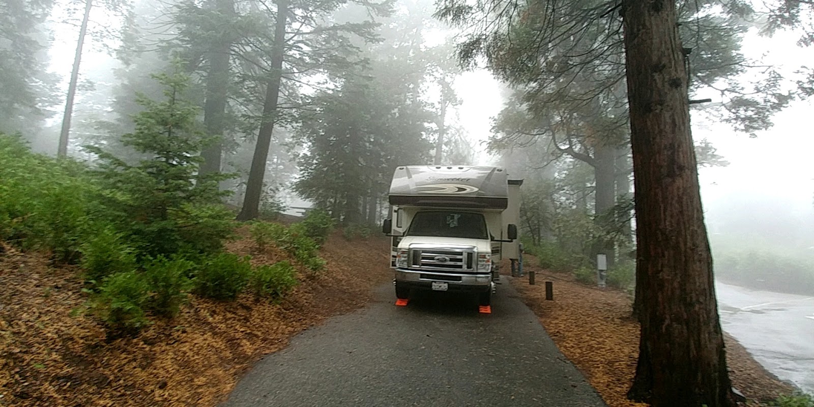 Dogwood campground 2024